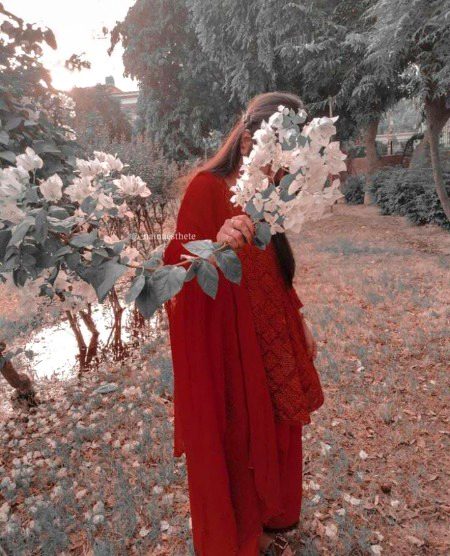 Beautiful Nature image