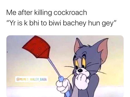 Memes & Satire image