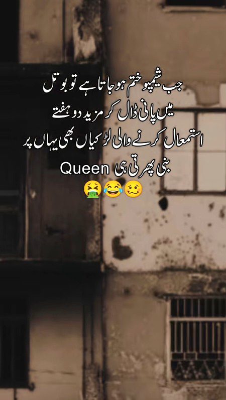 Memes & Satire image