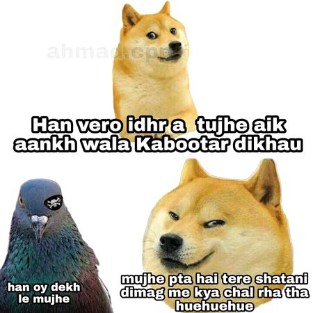 Memes & Satire image