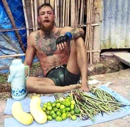 Memes & Satire image