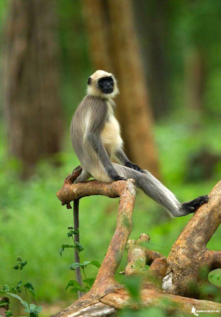 Beautiful Nature image