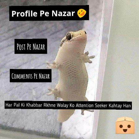 Memes & Satire image