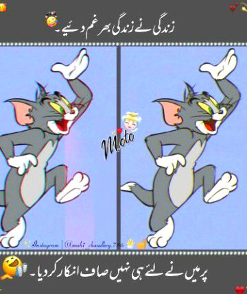 Memes & Satire image