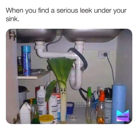 Memes & Satire image
