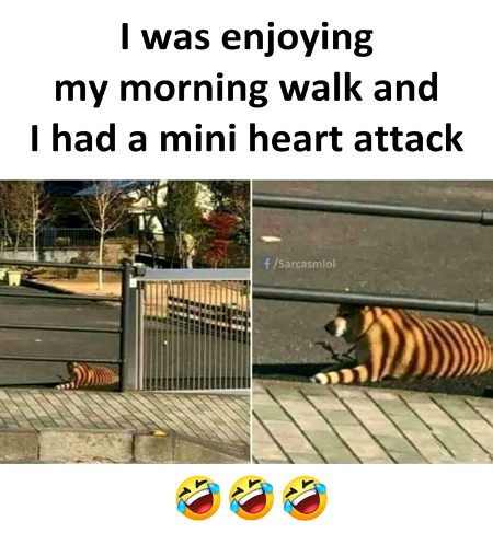 Memes & Satire image