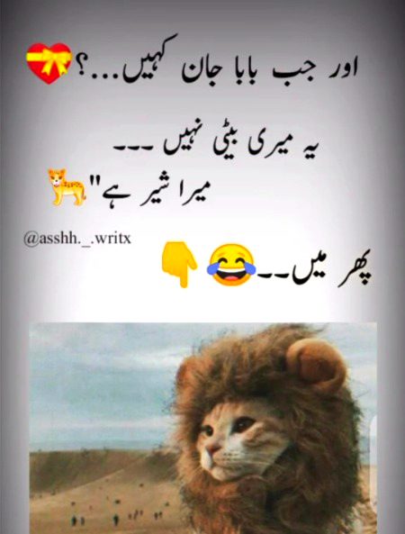 Memes & Satire image