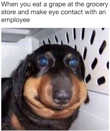 Memes & Satire image