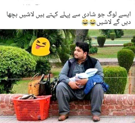 Memes & Satire image