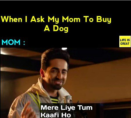 Memes & Satire image