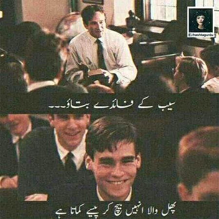Memes & Satire image