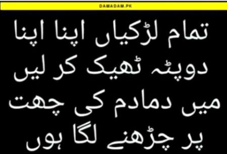 Damadam Roasting image