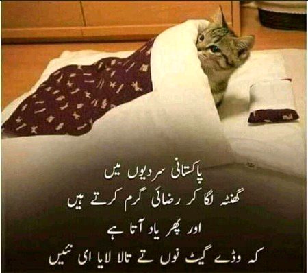 Memes & Satire image