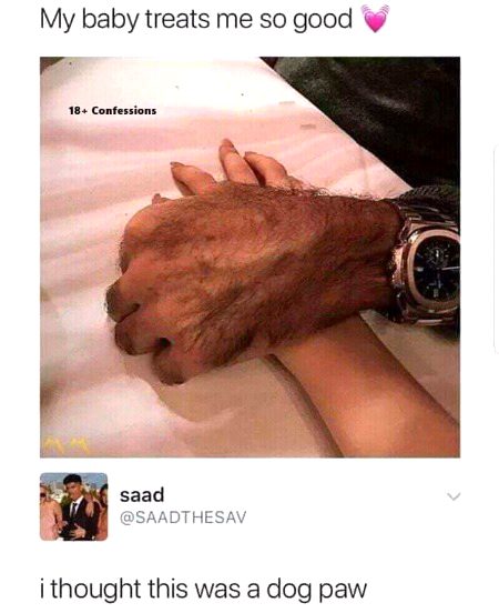 Memes & Satire image