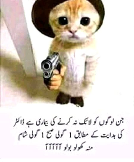 Funny joke