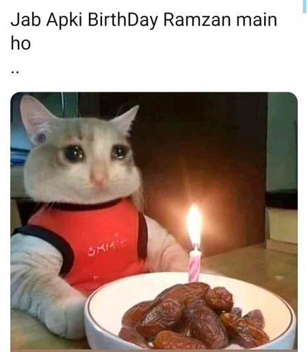 Memes & Satire image