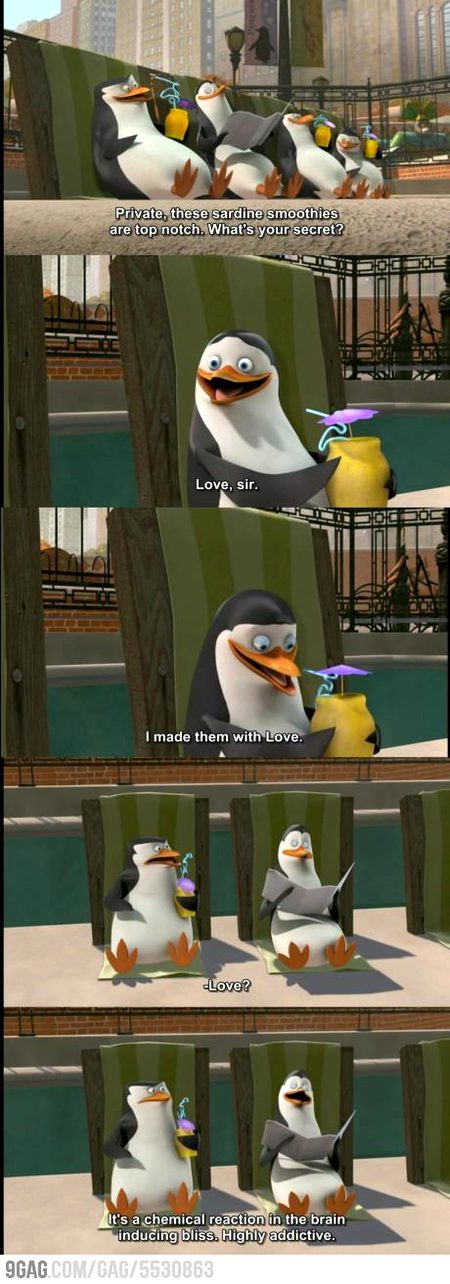 Memes & Satire image