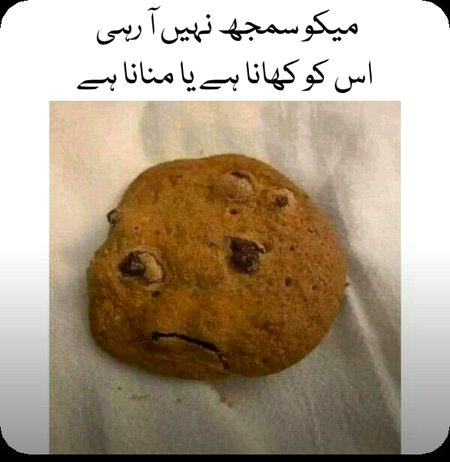 Memes & Satire image