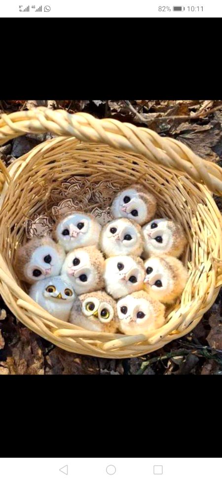 Beautiful Nature image