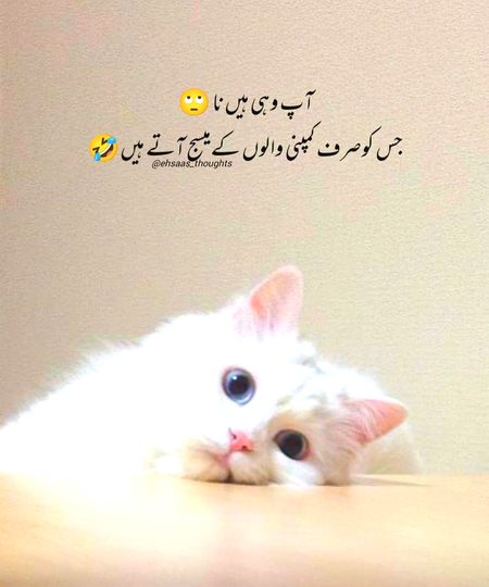 Jokes image