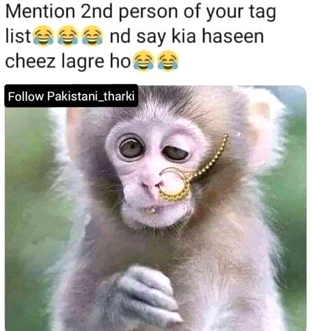 Memes & Satire image