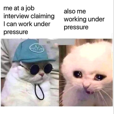 Memes & Satire image