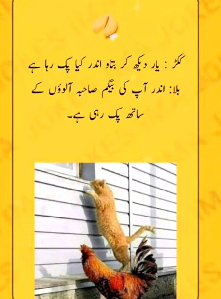 Funny joke