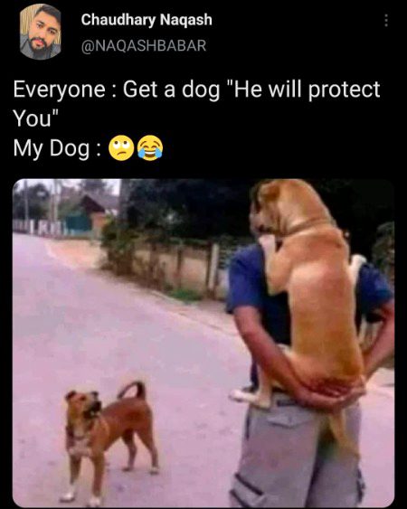 Memes & Satire image