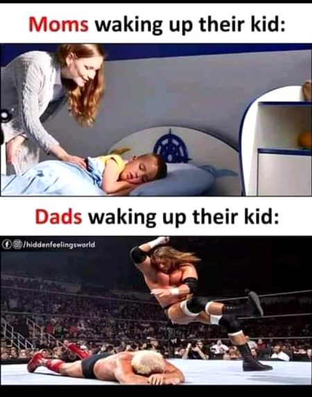 Memes & Satire image