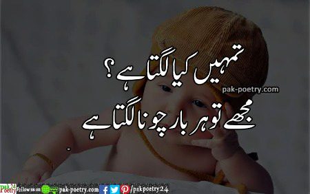 Memes & Satire image