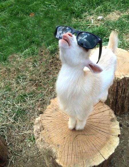 Beautiful Nature image