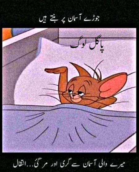 Jokes image