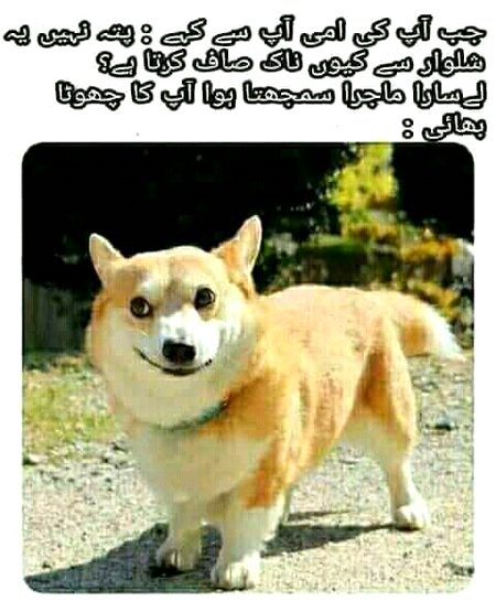 Funny joke