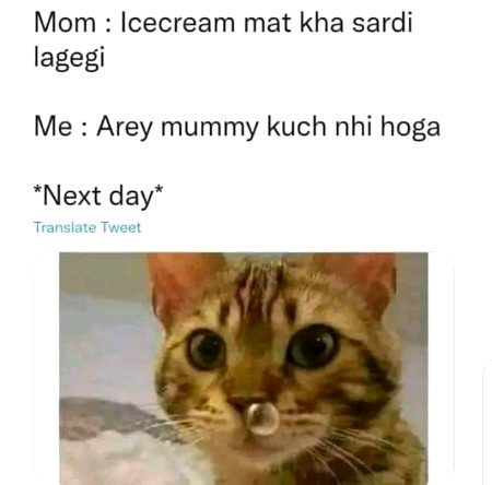 Memes & Satire image