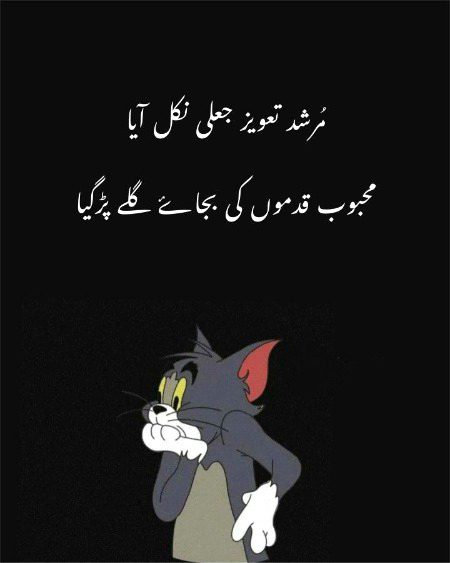 Memes & Satire image