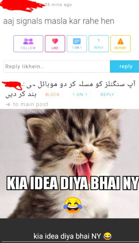 Damadam Roasting image