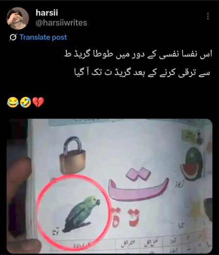 Memes & Satire image