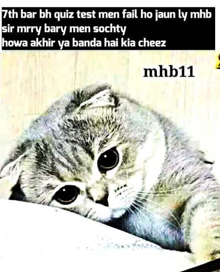 Damadam Roasting image