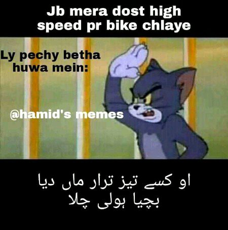 Memes & Satire image