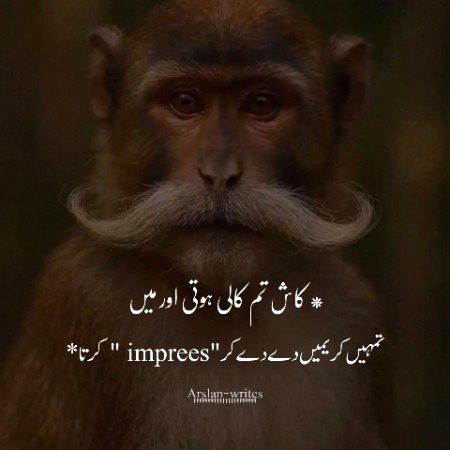 Jokes image