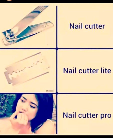 Memes & Satire image