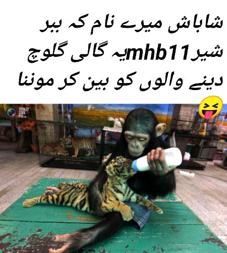 Damadam Roasting image