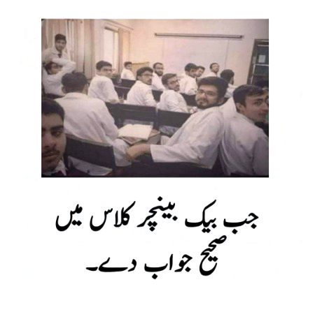 Memes & Satire image