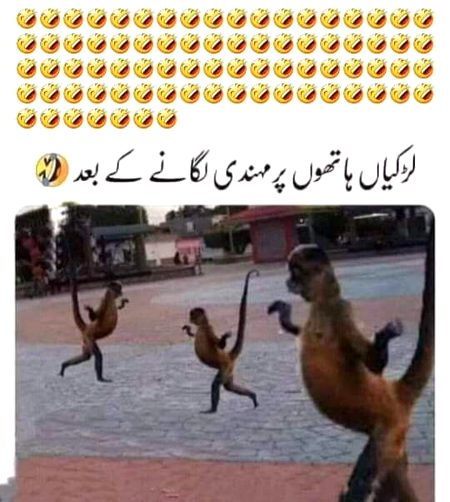 Memes & Satire image