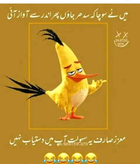 Jokes image