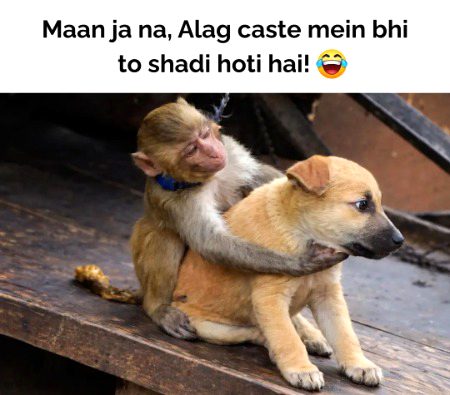 Memes & Satire image