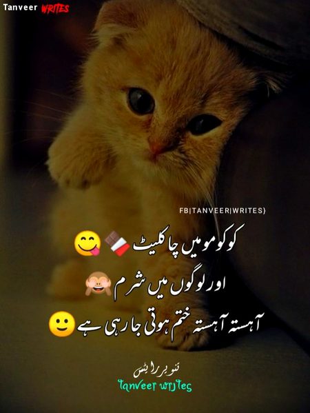 Memes & Satire image