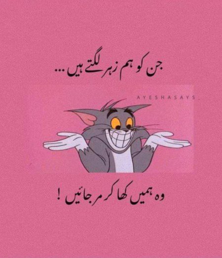 Attitude Quotes image