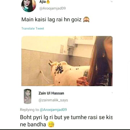 Funny joke