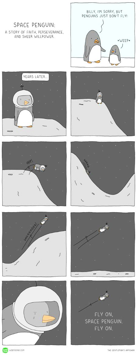 Memes & Satire image